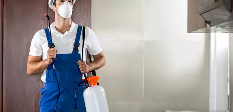 Why Augusta Homeowners Choose Us When Pests Make Selling Difficult